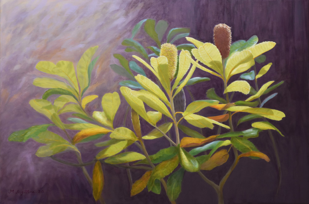 Banksia 51x76cm Sold
